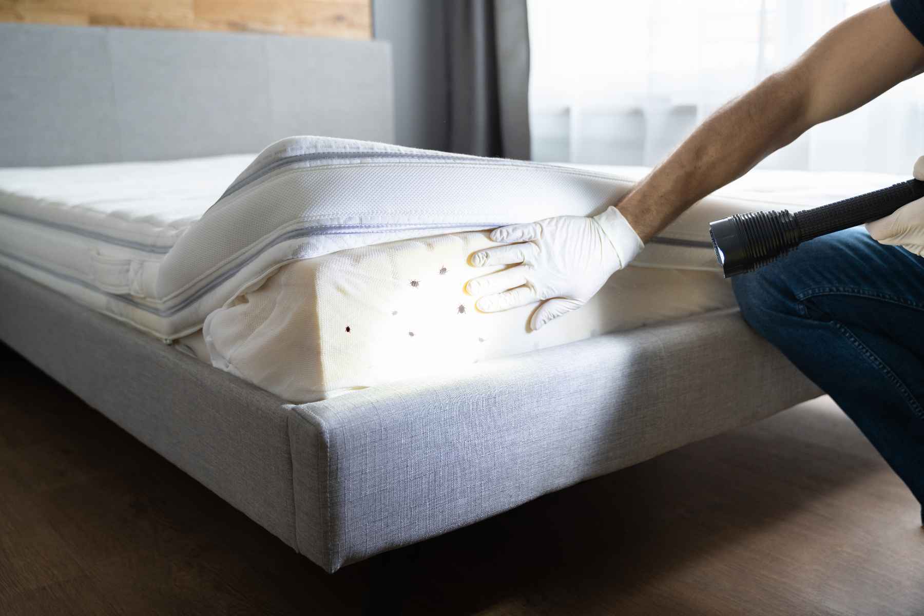 Natural Ways to Kill Bugs