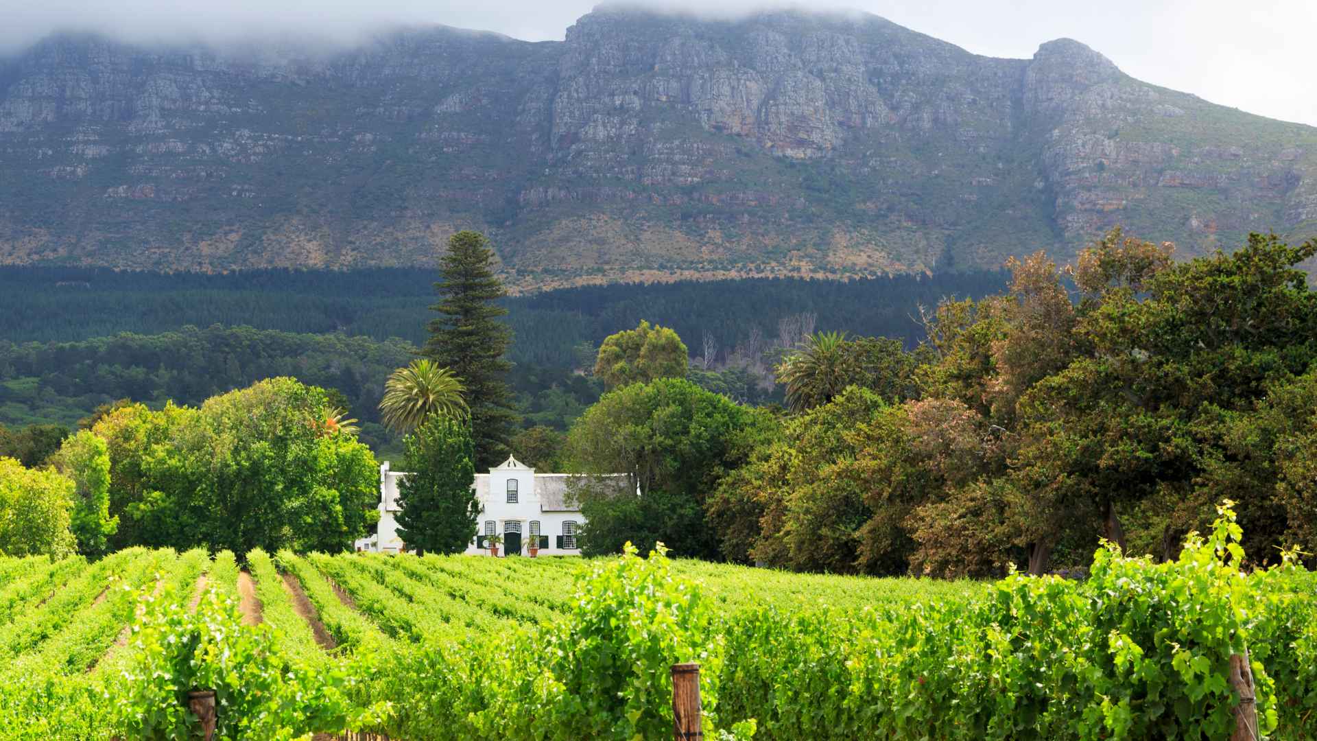 Furniture Removals Stellenbosch