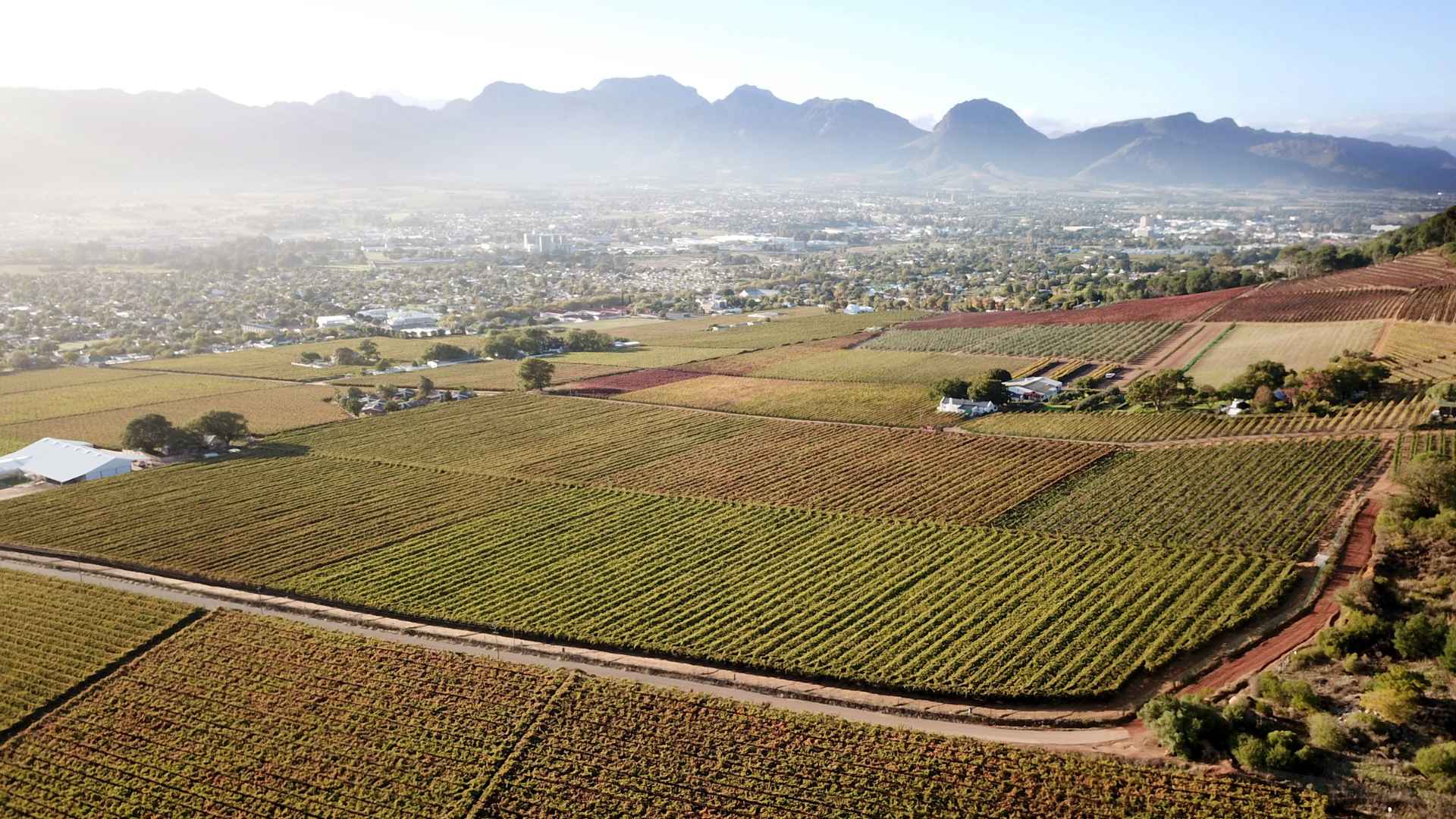 Furniture Removals Paarl