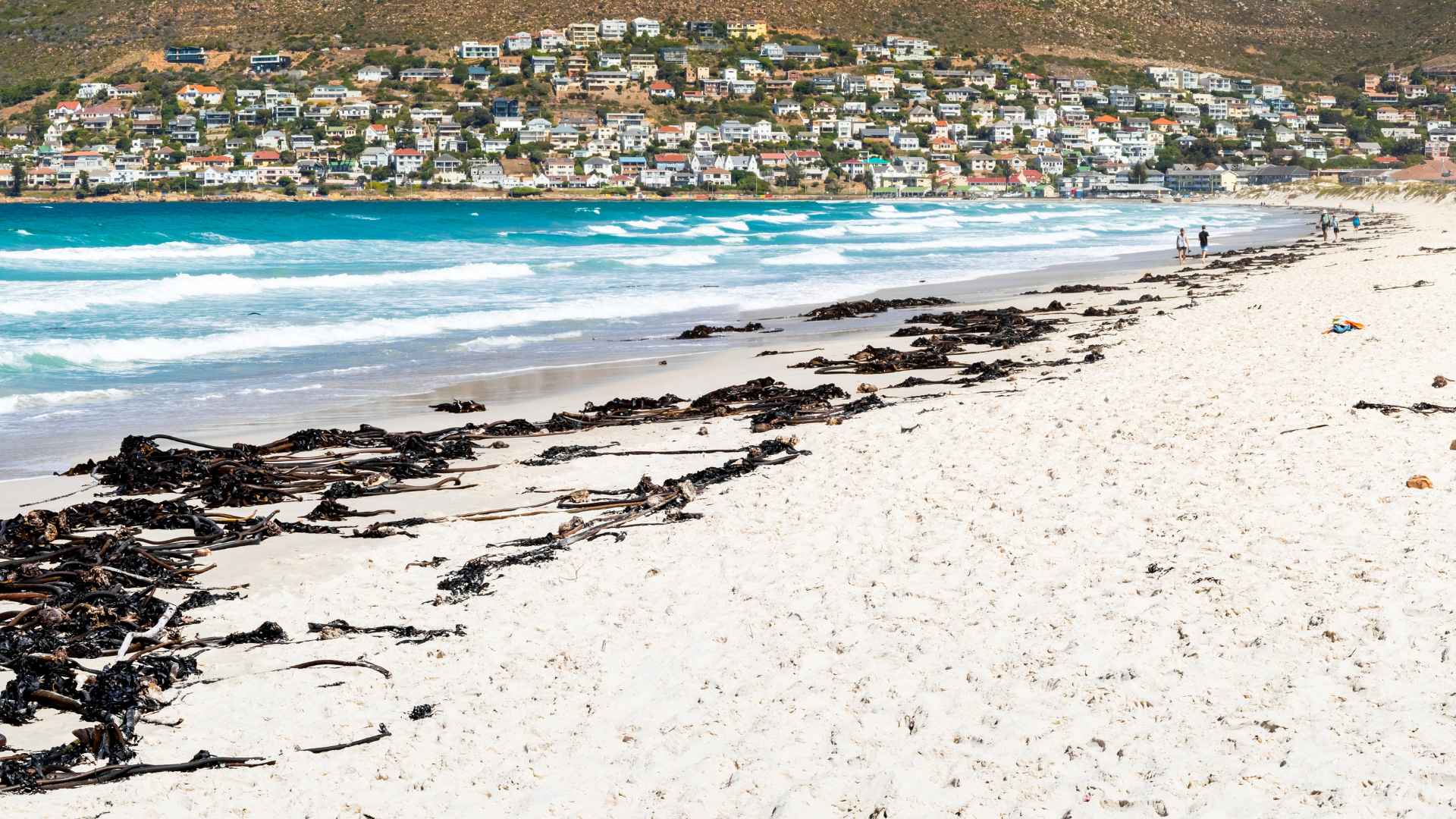 Furniture Removals Fish Hoek