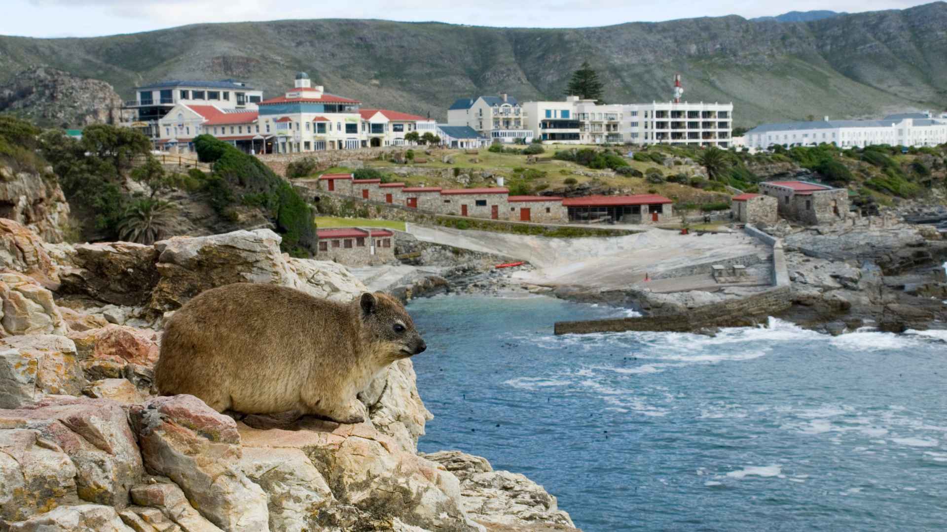 Furniture Removals Hermanus