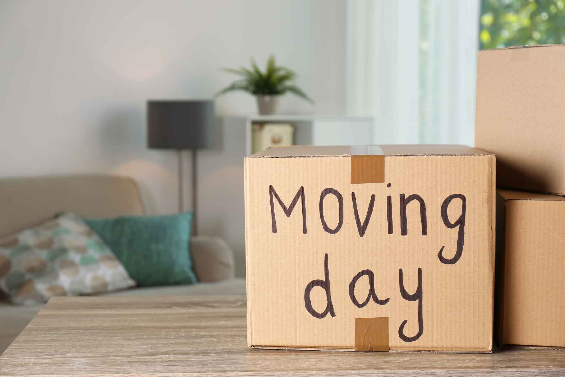 local furniture removals South Africa professional local movers unloading furniture